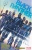 BLACK PANTHER VOL 02 RANGE WARS TP [9781302928834]